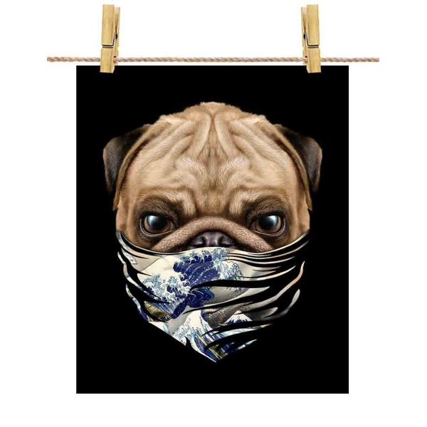 y^ pO hbO   G o_iz|X^[@A4TCY by Fox Republic