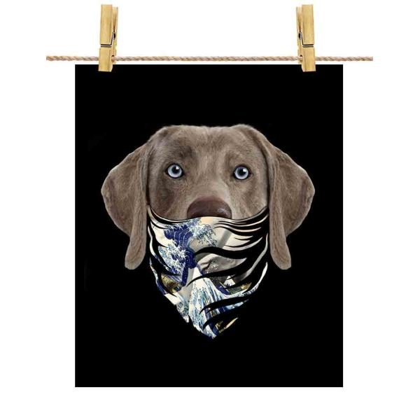 yC}i[ hbO   G o_iz|X^[@A4TCY by Fox Republic