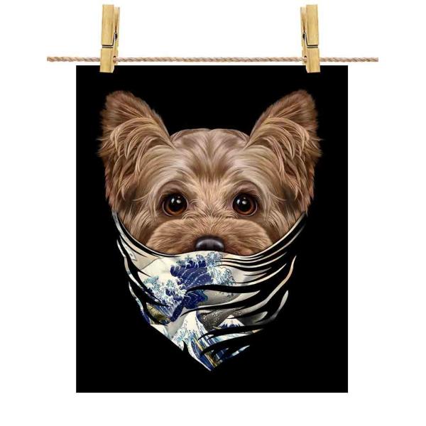 y[NVeA hbO   G o_iz|X^[@A4TCY by Fox Republic