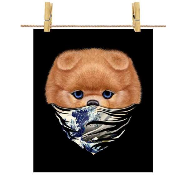 y|jA hbO   G o_iz|X^[@A4TCY by Fox Republic