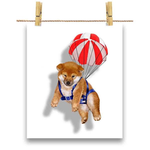 foxrepublic_poster-a4-dog43