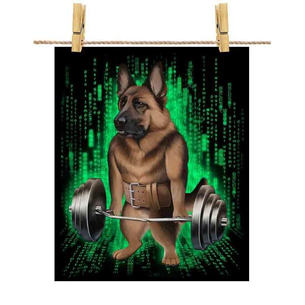 |X^[ A4 W[}VFp[h   ؃g ؓ EGCgteBO W TCo[ by Fox Republic