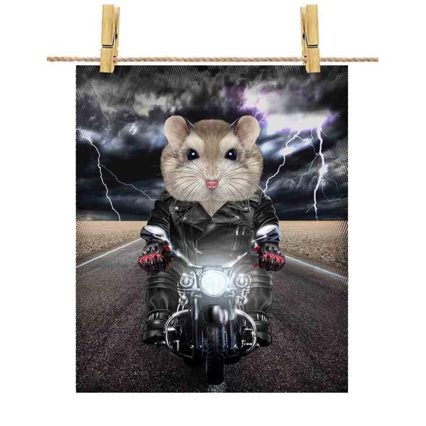 foxrepublic_poster-a4-hamster3-30