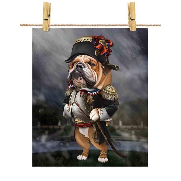 foxrepublic_poster-a4-history6