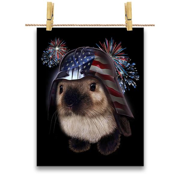 |X^[ A4  e  o_i   CMX jIWbN  by Fox Republic