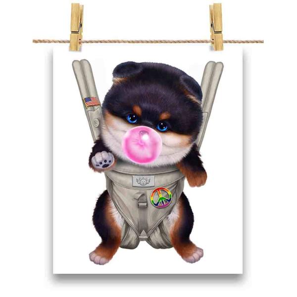 |X^[ A4  |jA     R K by Fox Republic