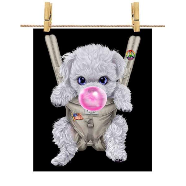 |X^[ A4  v[h    R K by Fox Republic