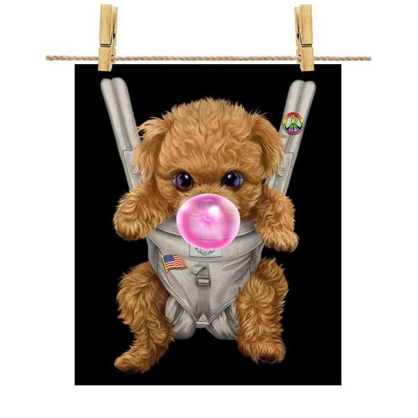 |X^[ A4  v[h     R K by Fox Republic