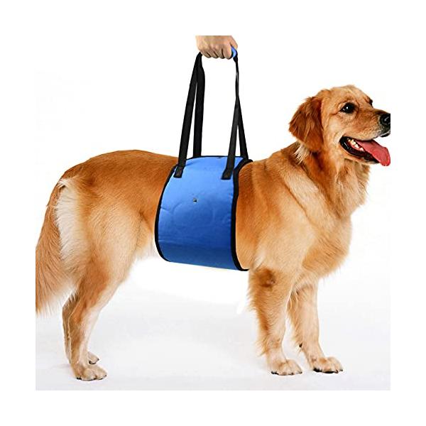 Hitasi 犬用介護ハーネス 犬用ハーネス リード 介助 散歩 歩行補助 老