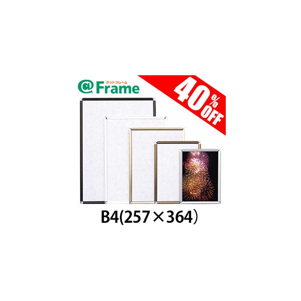 |X^[t[@|bvt[J[@B4i257×364mm)i TCY j