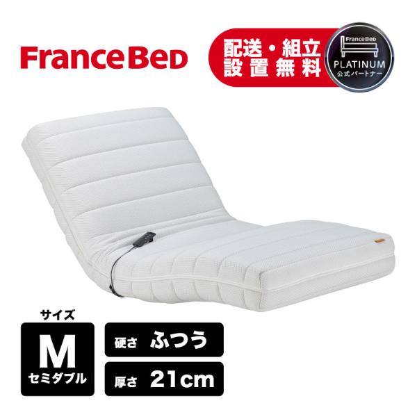 フランスベッド（FRANCEBED） 正規品 電動リクライニングマットレス