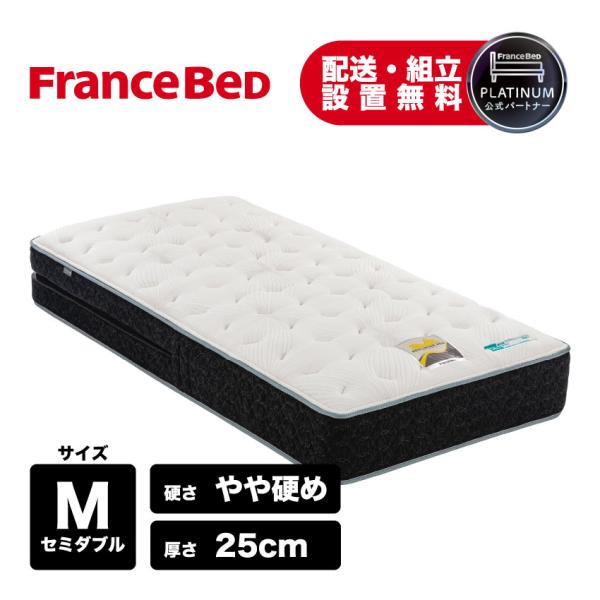 フランスベッド（FRANCEBED） 【6/27 PT+3%】フランスベッド 正規品
