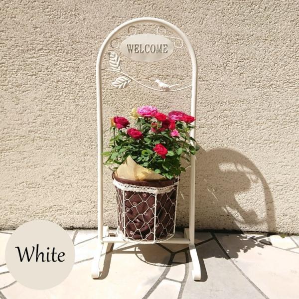 送料無料 スイングポーチ コルダーナローズ ミニ薔薇の寄せ植え ミニバラ 寄せ植え コルダナ 母の日 ギフト プレゼント Buyee 日本代购平台 产品购物网站大全 Buyee一站式代购 Bot Online