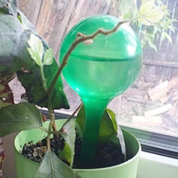 水 り 自動植物散水器 プラスチックボール 屋内 屋外 水缶 5個