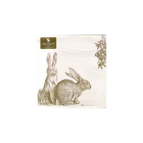ACO/Material 2枚組 LPレコード レコード】ACO - MATERIAL (JPN) LP (2枚組) JAPAN 2001年