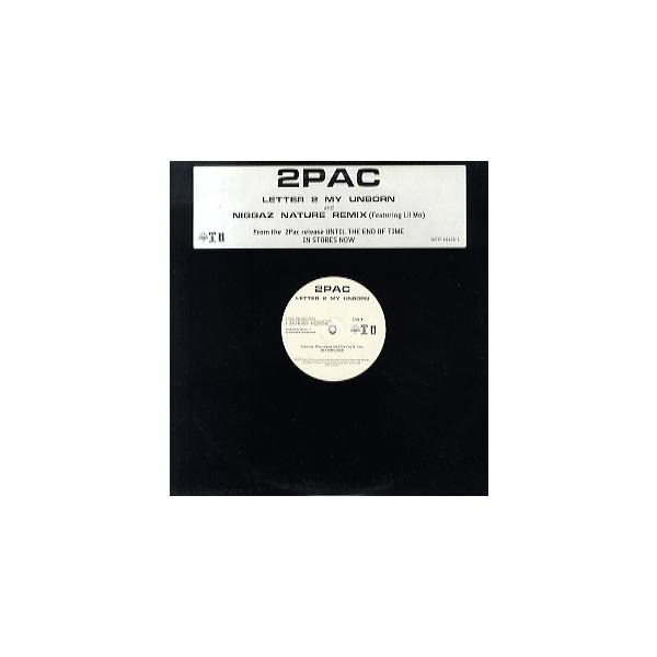 2PAC レコード　2LP レコード】2PAC feat LIL MO - NIGGA NATURE-REMIX / LETTER 2 MY