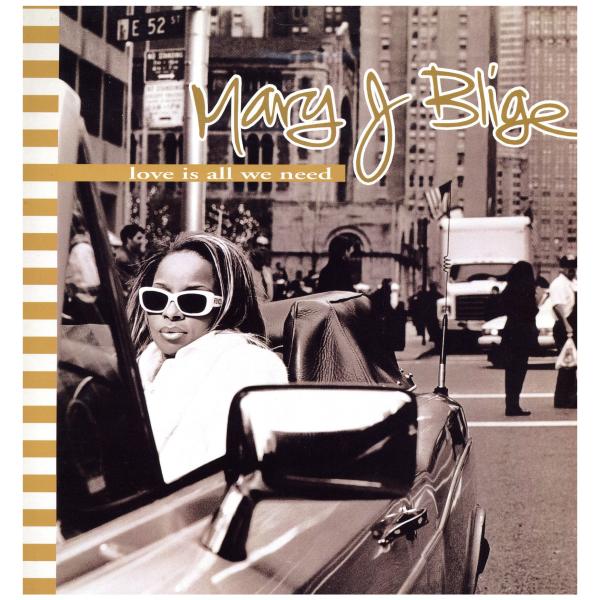 Mary J. Blige - Mary レコード MARY J. BLIGE / MARY (US-2LP) - SOURCE RECORDS (ソースレコード）