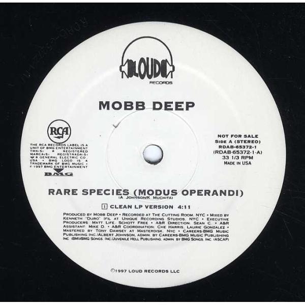 レコード】MOBB DEEP - RARE SPECIES (WHITE) 12