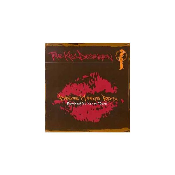 true kiss destination レコード2枚 true kiss destination レコード2枚 - メルカリ