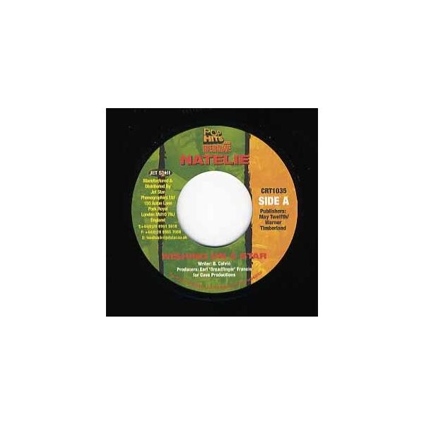 製造国 : UK　　リリース年 : 2004　　レーベル : JET STAR　　品番 : CRT1035　　　　UKのレゲエレーベルJet Starより発売されているヒップホップ、R&amp;B、ソウルの名曲をレゲエカバーしたコンピ"Po...