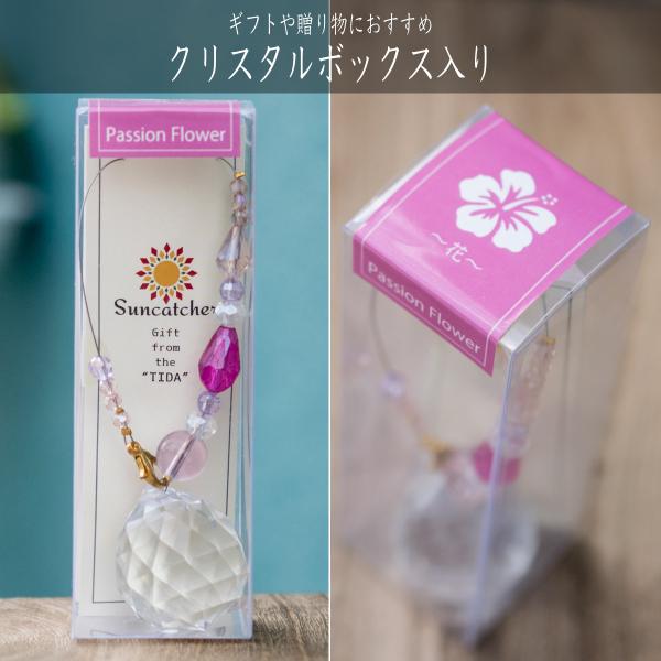 “サンキャッチャー