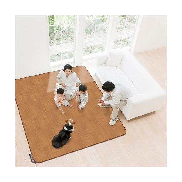 明和グラビア ホットカーペットカバーとしても使える  防水中敷きカーペット BR(木目) AHW-1003 HH 200cm×250cm 3帖用