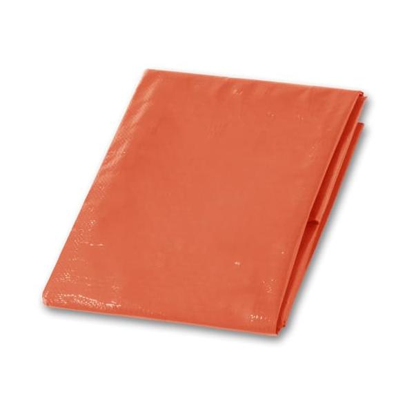 1枚テラコッタ/0.8×1.7m/30T0918・Color:テラコッタSize:0.8×1.7mStyle:1枚・パッケージ個数:1・強度5倍UPポリカーボネートハトメ仕様のカラーシート。従来品のアルミハトメと比べ約5倍の強度でつぶれにく...