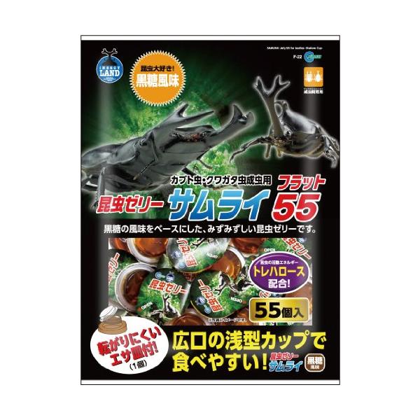 ・ 55個 (x 1) F-22・原産国:中国