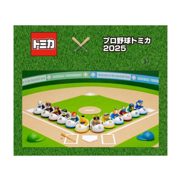 8月下旬発売 2025年セリーグ 6点 コンプリートセット プロ野球