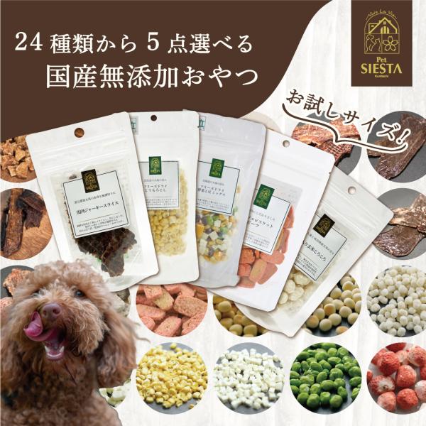 犬 おやつ 無添加 国産 ギフト フリーズドライ 野菜 フルーツ 鶏