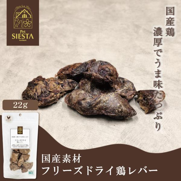 犬 おやつ 国産 無添加 鶏 とり レバー おすすめ 国産素材 フリーズドライ 鶏レバー 22g FREEBIRD フリーバード