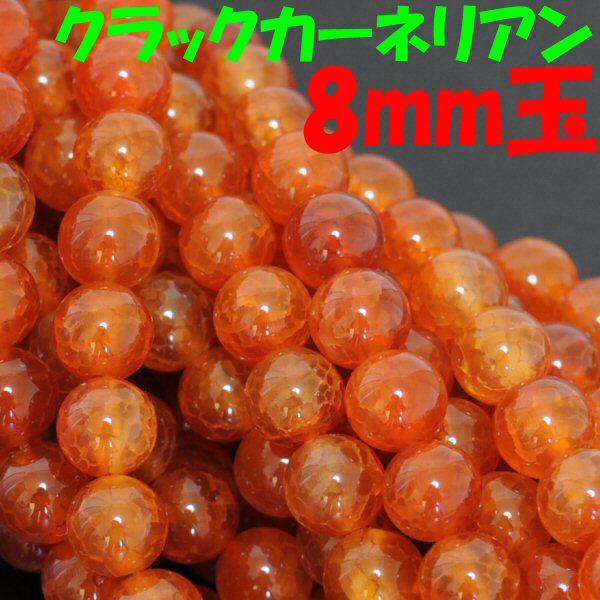 NbN J[lA ۋʃp[c 8mm 40cm AAO[h 49y gʐ p[Xg[ VR΁zy[֑Ήz