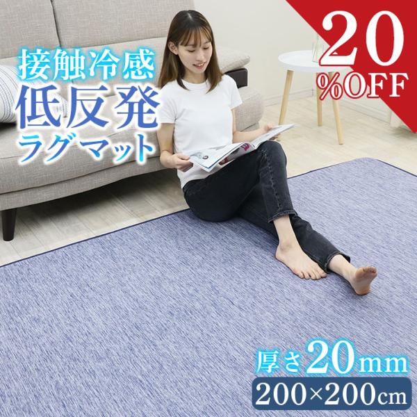 freely 低反発ラグ フリーリー フリーリー ラグ 夏 低反発 ひんやり 冷感 接触冷感 200×200 低反発