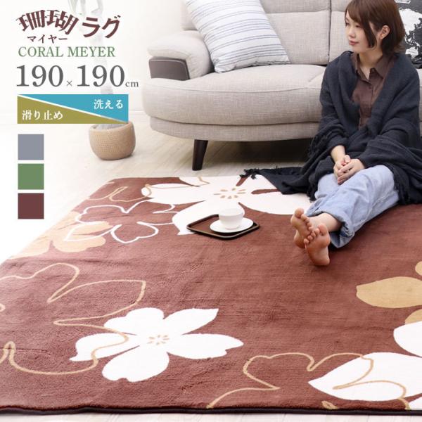 フリーリー ラグ 洗える 滑り止め付き カーペット ラグマット 厚手 秋