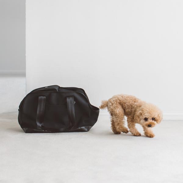 表情豊かな4号帆布と、シャープな印象のターポリンをミックスした異素材コンビのキャリートート。高い防汚・耐水性能を備えながらも、デザイン性を忘れない仕上がりです。メッシュ蓋の収納や簡単なお手入れなど、使い勝手も抜群。毎日のお散歩から、ちょっと...