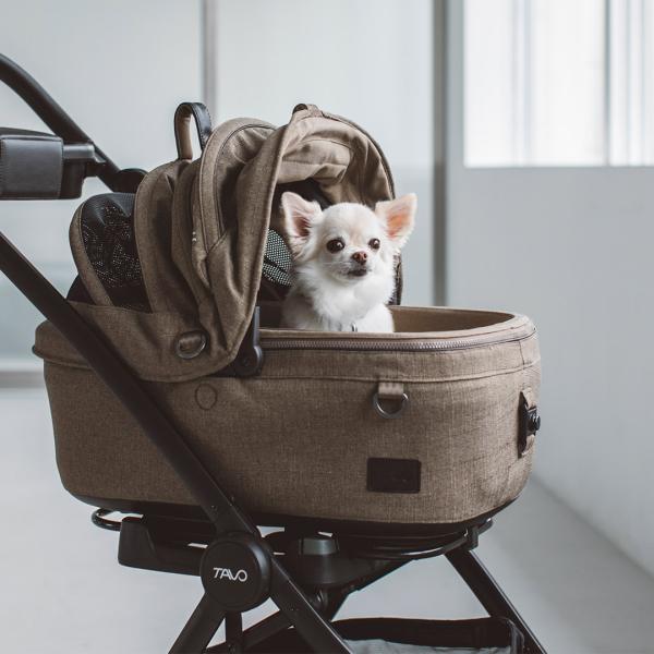 freestitch-ystore_tv-z2ts003