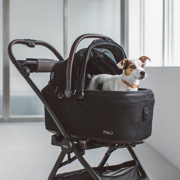 犬 カート】TAVO Maeve メイブ ＋ Roscoe ロスコー ベース 6X ドッグ