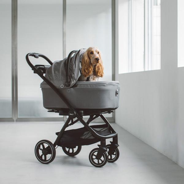 freestitch-ystore_tv-z2tsox1