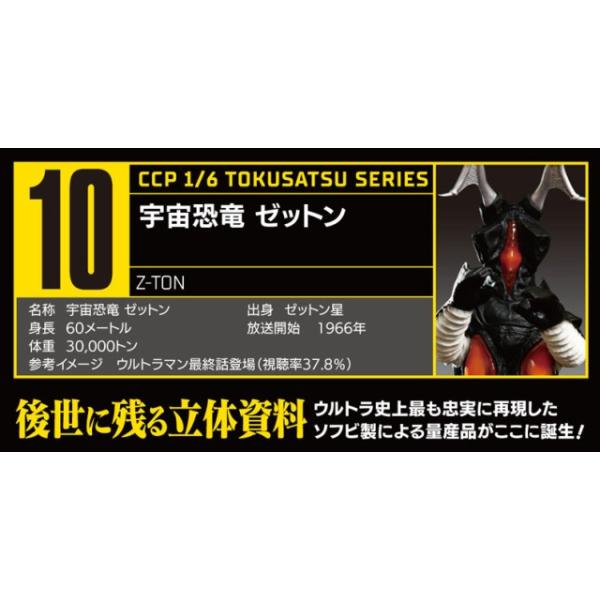 CCP 1/6BV[Y [bg Ahxg Ver.