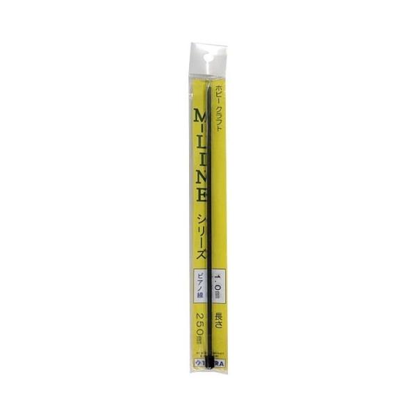 eg 60007 sAm 1.0×250mm(10{)