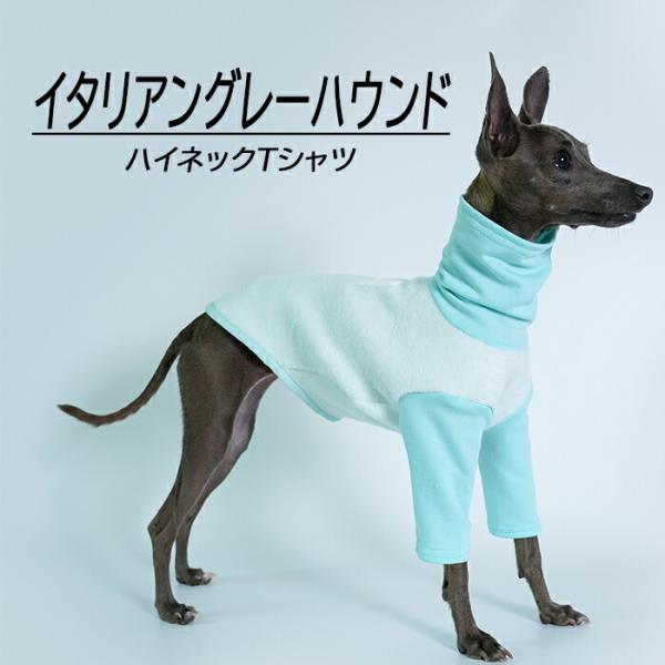 送料無料 イタリアングレーハウンド ハイネックTシャツ 伸びがいい