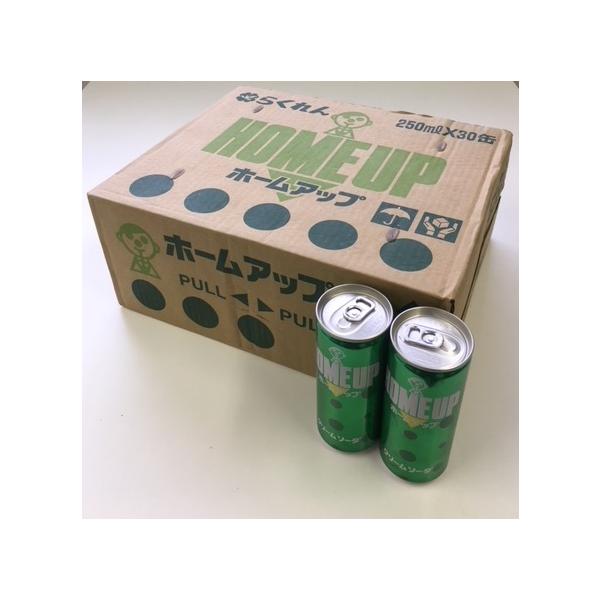 昔から変わらぬおいしさ  らくれん　ホームアップ　250ml×30本　　クリームソーダ