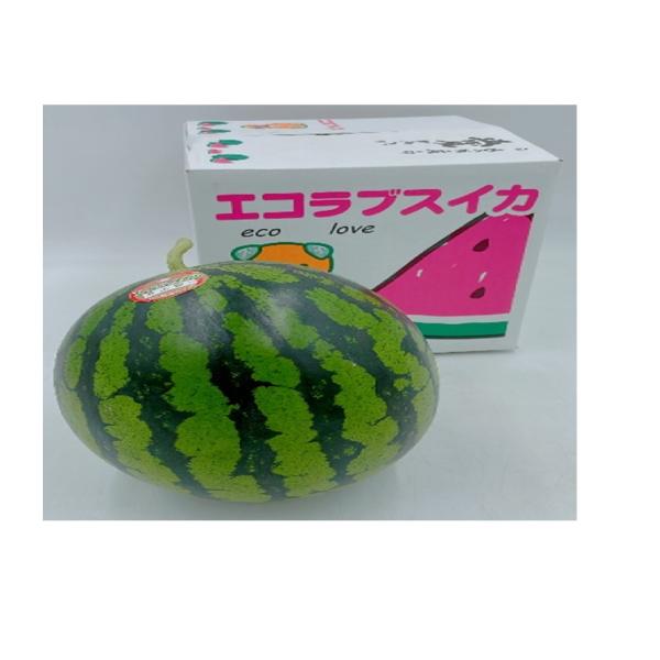 愛媛県産【エコラブスイカ】優品 4Lサイズ 2玉 約18kg！ 大人気再入荷！愛媛県産【エコラブスイカ】秀品 Lサイズ 2玉の