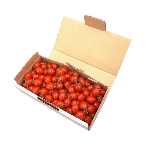 高知県安芸市の自然を舞台に作られるハッピートマト。この川谷農園で作られるハッピートマトは、きれいな水と澄んだ空気、そして南国土佐の太陽の光で作られた、自然育ちのトマトです。トマトの持つ本来の甘みと酸味が小さな果実の中にギュッとつまった天然の...