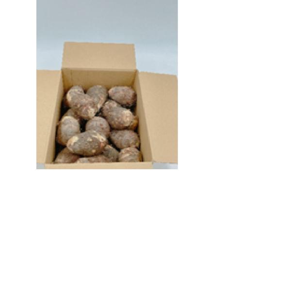 白くきめ細やかな肉質、丸々として形が揃っていることから「伊予美人」という名で販売されています。特徴：●やわらかく、粘りも強く旨みがある　●特有の“ぬめり”には栄養素がいっぱい　●味に癖がなくどんな料理にも相性バツグン内容量　5kg産地　愛媛県