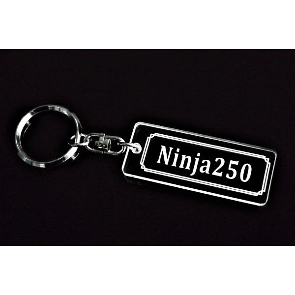 A-769 Ninja250 アクリル製 クリア 2重リング キーホルダー ニンジャ