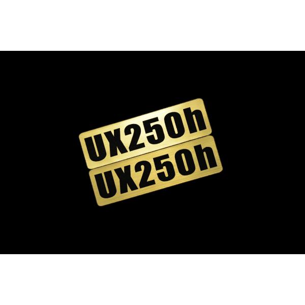 EEE-926-1 UX250h 金黒 アクリル2層 ステッカー レクサス Fスポーツ ABS FRD モデリスタ WALD カスタム 前期 後期 2枚1セット