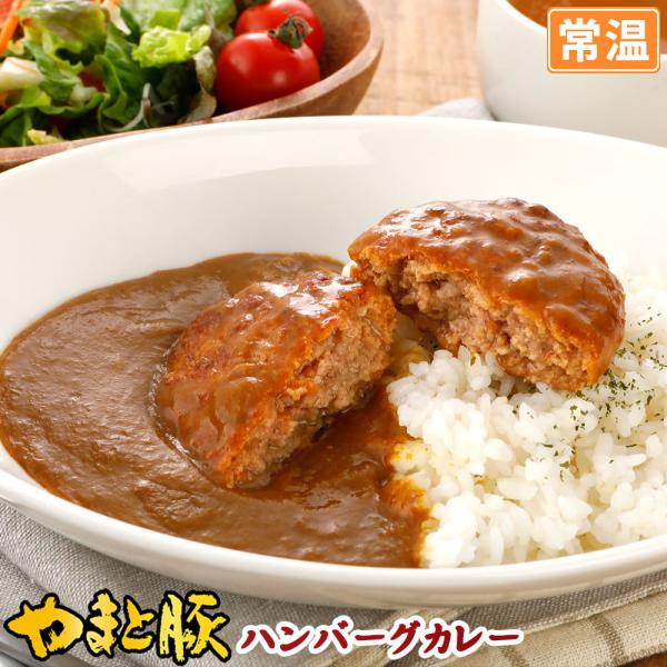 やまと豚で作ったハンバーグカレー 2g 常温 レトルトカレー レトルト レトルト食品 カレー ルー 食品 常温保存 ハンバーグ 常温保存できる ご飯のお供 豚肉専門店 やまと豚のフリーデン 通販 Yahoo ショッピング