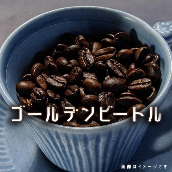 コーヒー豆 パナマ ゴールデンビートル サンセバスチャン農園 200g