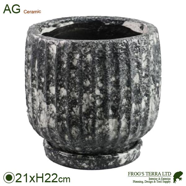 【屋外対応】ポンチョマーブル L（直径21cm×H22.5cm）（底穴あり/受皿付）  鉢 ディスプレイ サボテン 多肉 塊根 コーデックス